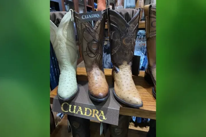 Imagen importada para Botas Cuadra Durango