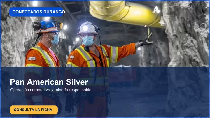 Imagen importada para Pan American Silver