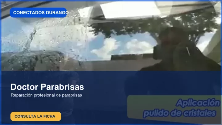 Imagen importada para Doctor Parabrisas