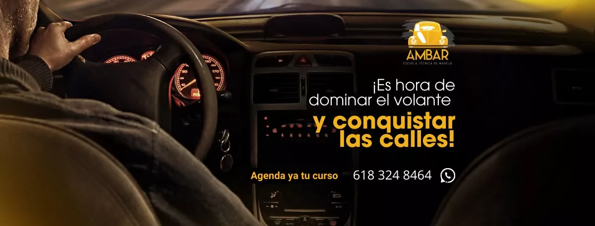 Imagen de portada de Escuela Ámbar
