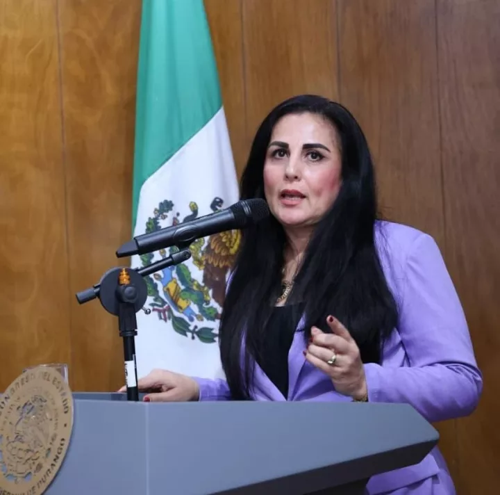 Imagen importada para Georgina Solorio García