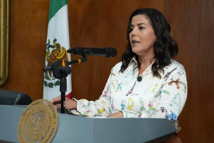 Imagen importada para Verónica González Olguín