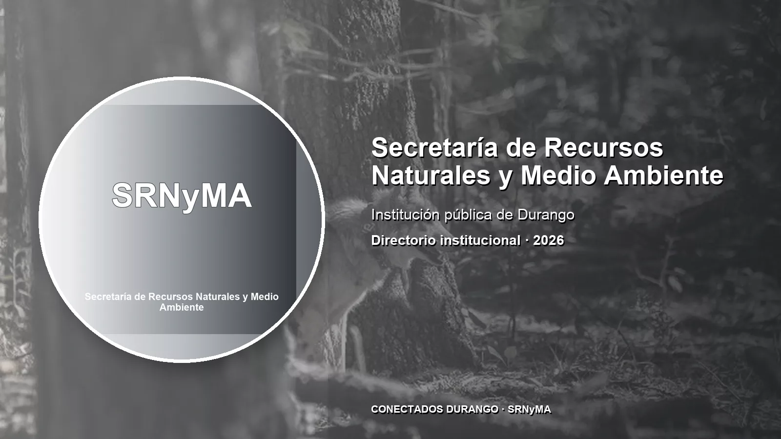 Imagen importada para Secretaría de Recursos Naturales y Medio Ambiente