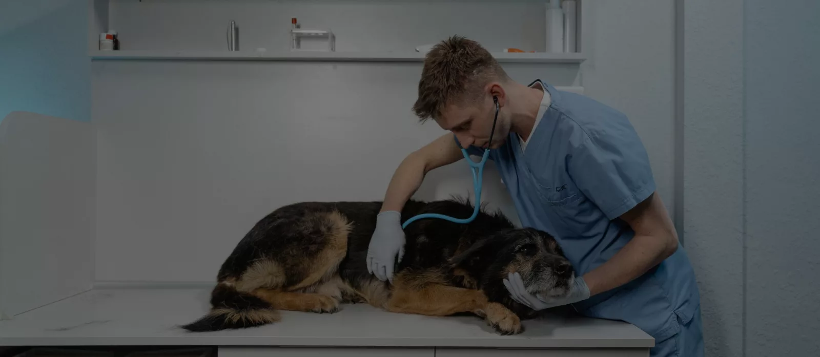 Imagen importada para NOVAPET Hospital de Especialidades
