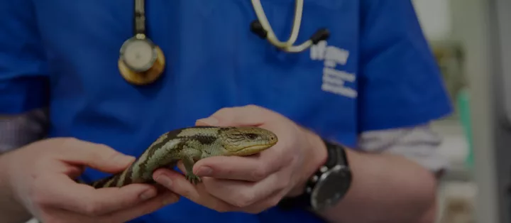 Imagen importada para NOVAPET Hospital de Especialidades