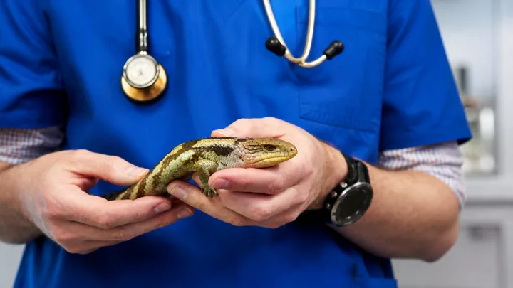 Imagen importada para NOVAPET Hospital de Especialidades