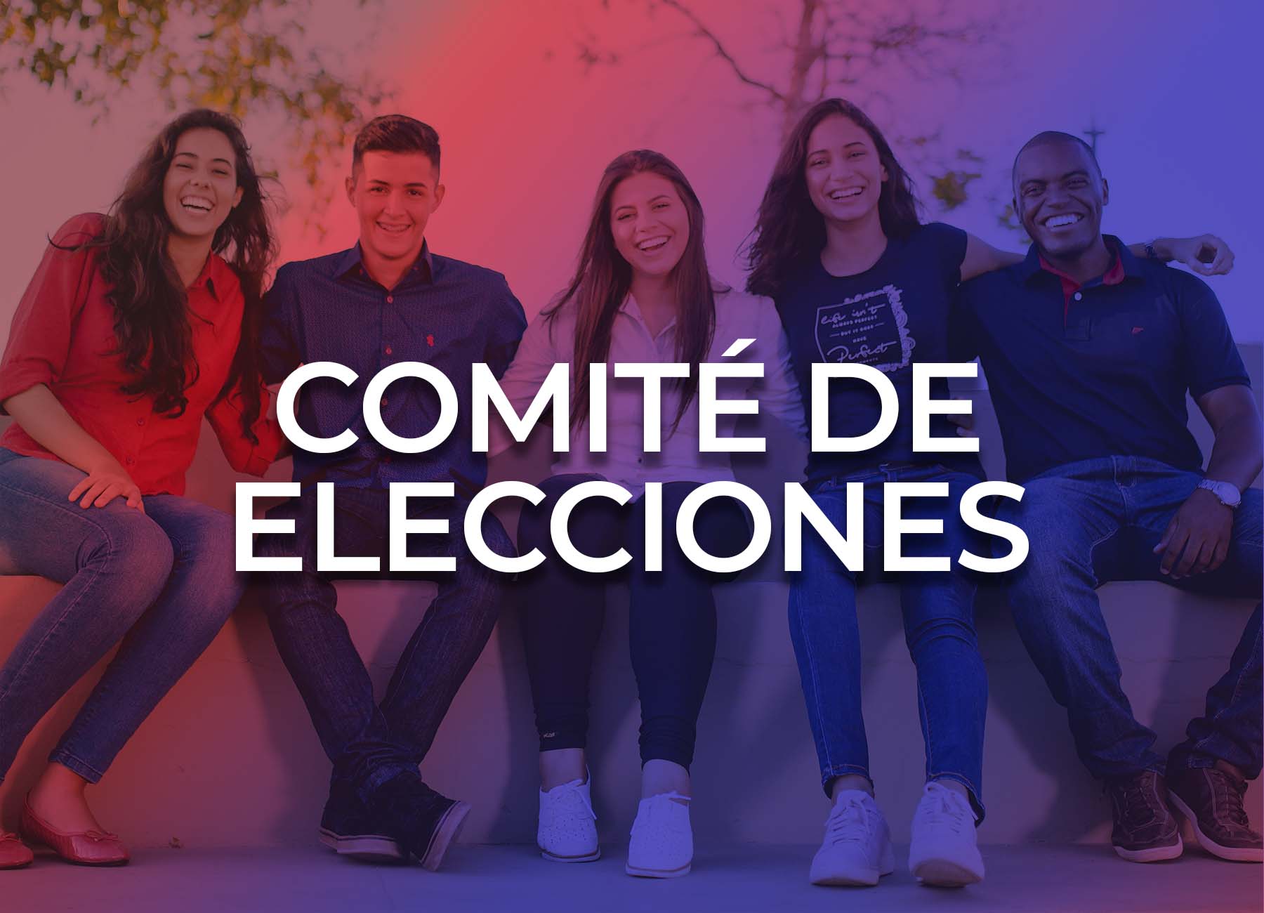 Imagen de COMITÉ DE ELECCIONES