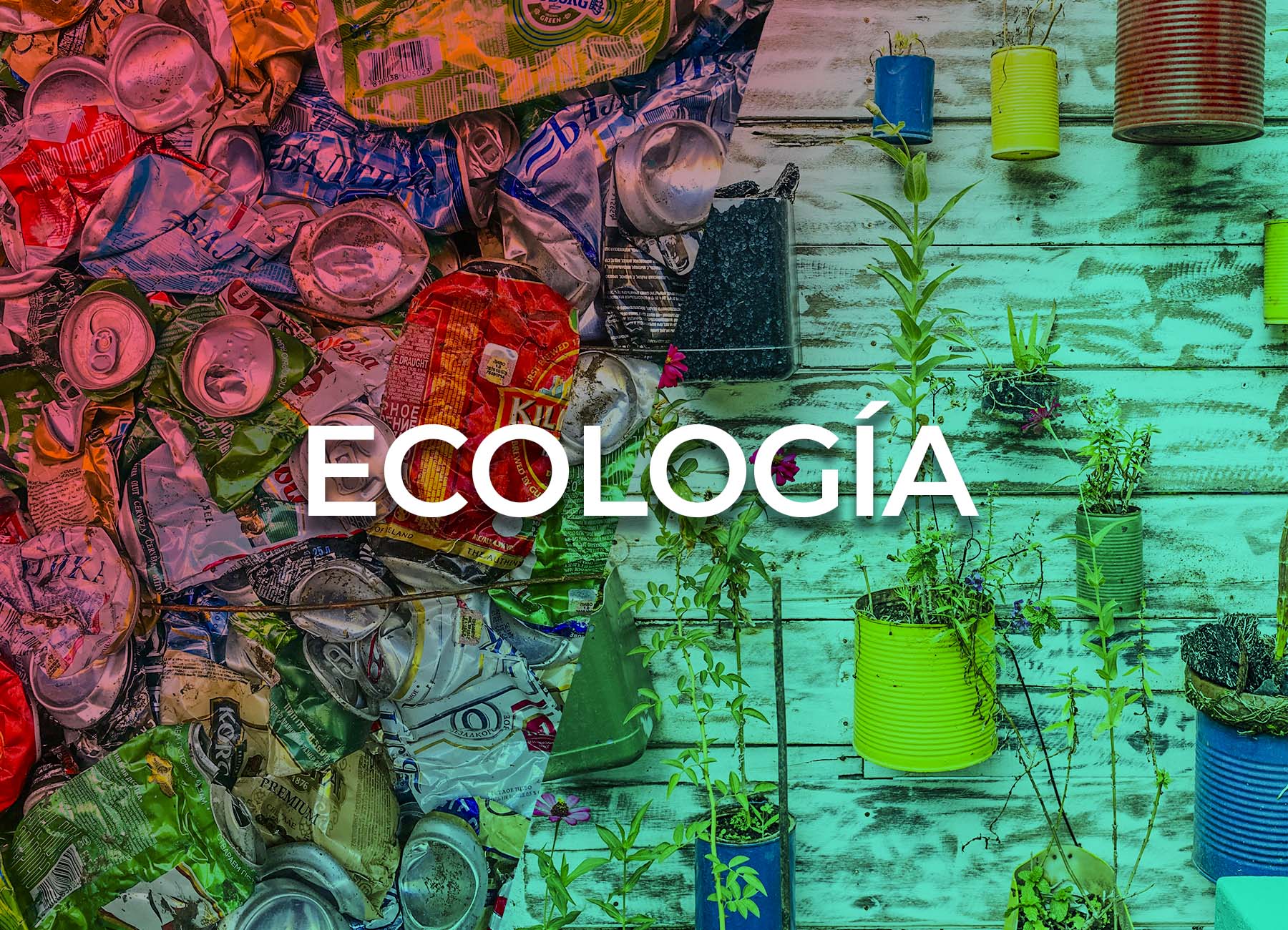 Imagen de MEDIO AMBIENTE