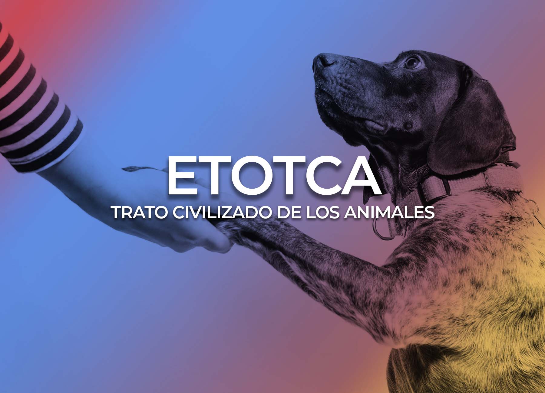 Imagen de ESTUDIANTES TÉCNICOS ORGANIZADOS POR EL TRATO CIVILIZADO DE LOS ANIMALES